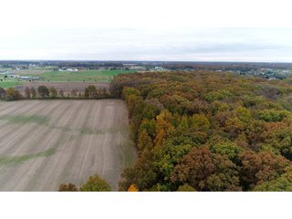 Property photo 5 - FARM AUCTION - 60.5+/- ACRES IN 5 TRACTS IN ALLEN COUNTY, INDIANA